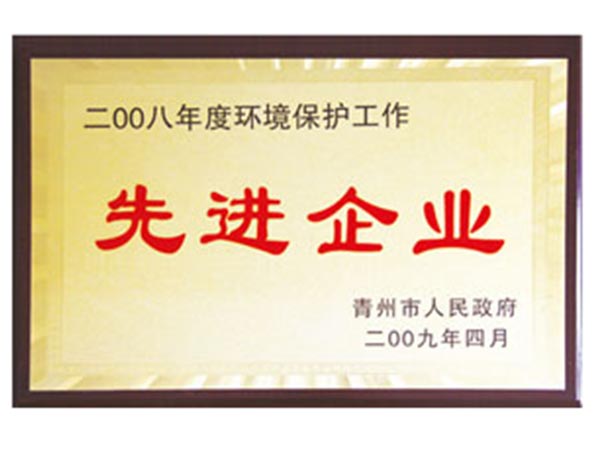 2008年度环境保护工作先进企业.jpg