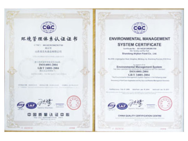 环境管理认证证书.jpg